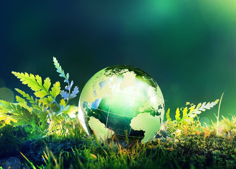 Cuidado del medio ambiente